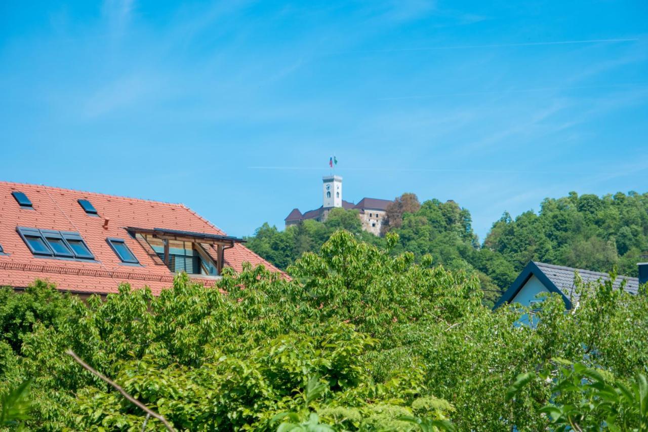 Apartman Arto Castle View *