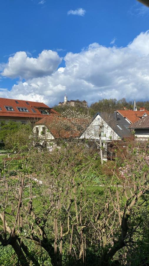 Apartman Arto Castle View